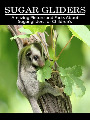 cover image of Sugar gliders